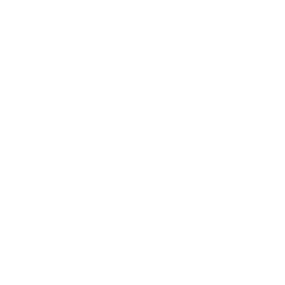 Logopum logo on a green background.