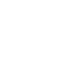 A logo with the word logosum on it.