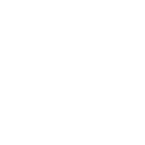 Logopum logo on a green background.